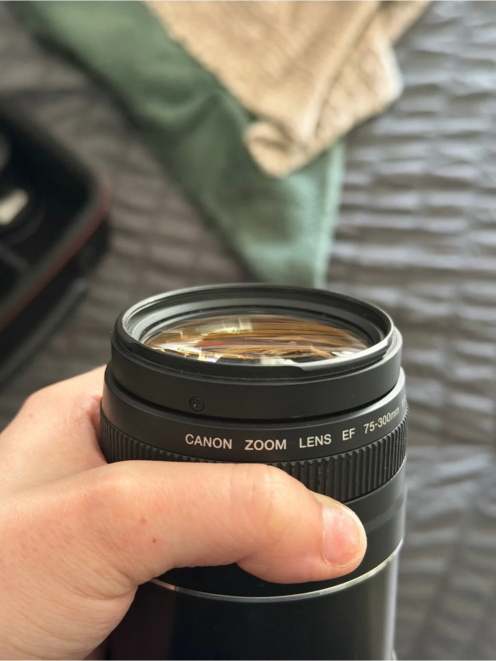 Canon EOS Rebel T5 with lenses